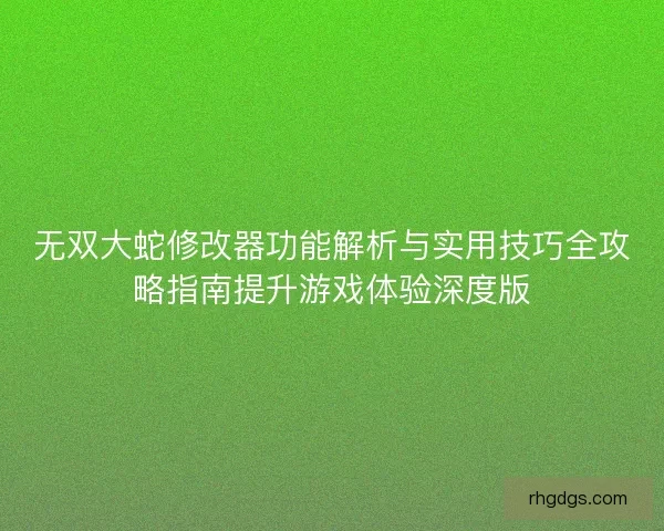 无双大蛇修改器功能解析与实用技巧全攻略指南提升游戏体验深度版