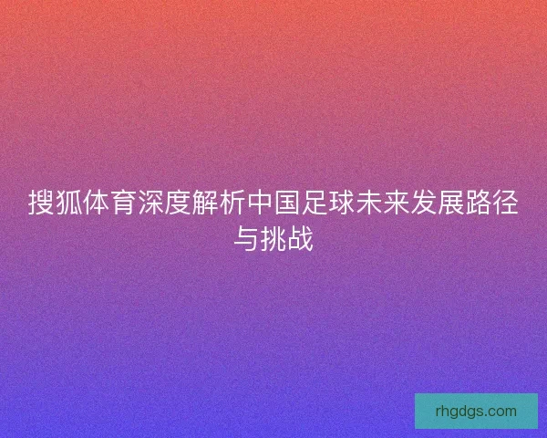 搜狐体育深度解析中国足球未来发展路径与挑战
