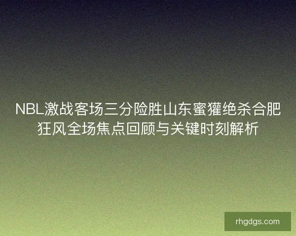 NBL激战客场三分险胜山东蜜獾绝杀合肥狂风全场焦点回顾与关键时刻解析