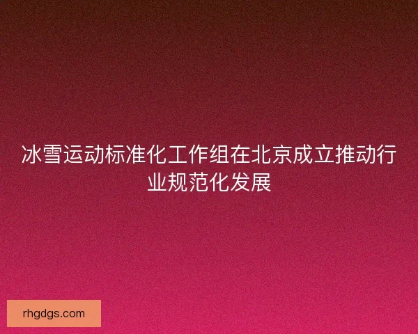 冰雪运动标准化工作组在北京成立推动行业规范化发展